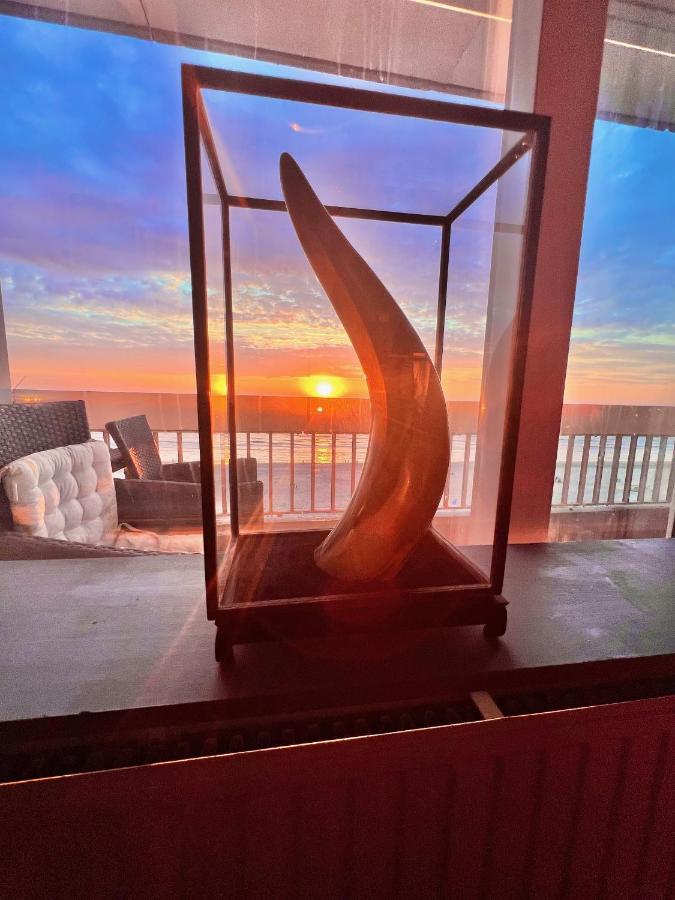 זנדוורט Ocean Breezeapartment: Wakeup 2 Sound Of The Waves מראה חיצוני תמונה